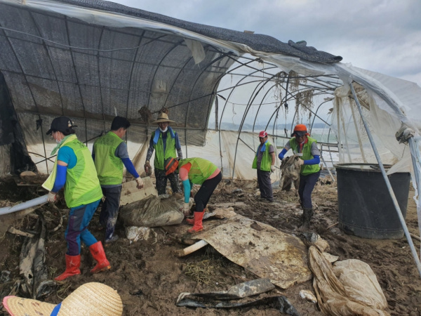 기록적인 폭우로 전국 각지에서 피해복구작업이 진행되고 있는 가운데 자원봉사자들이 수혜현장을 찾아 복구작업을 하고 있다. 사진=한국중앙자원봉사센터