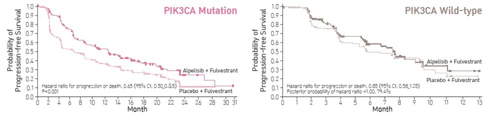 ‘PIK3CA 유전자 변이 검사’ 임상적 성능 자료/출처= GC녹십자의료재단
