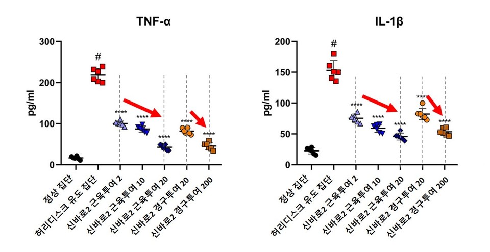 신바로2 농도가 높아질수록 TNF-α와 IL-1β의 발현량이 유의미하게 감소했다/사진=자생한방병원