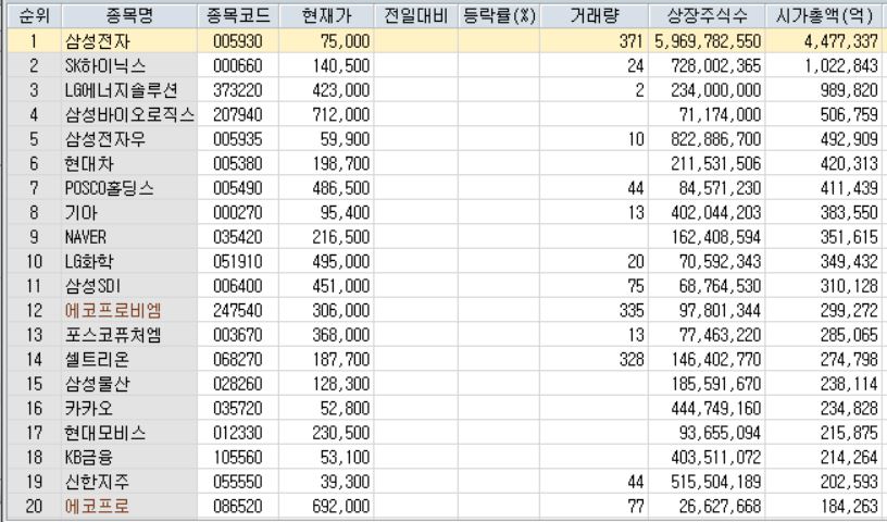   코스피 시가총액 상위 종목 순위. 21일 기준. 자료=한국투자증권