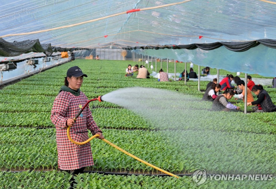 중국 허베이성의 한 농촌 마을[신화=연합뉴스 자료 사진]