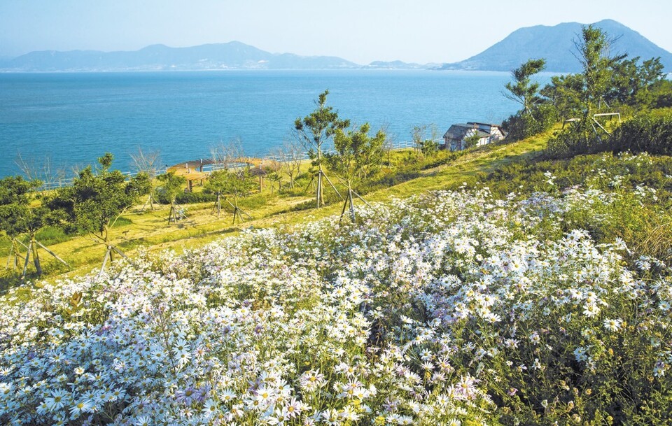 전남도, 여수 하화도 완도 청산도 등 4월의 관광지 추천