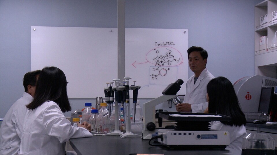 큐제네틱스, 세계 유일 MSC 플랫폼으로 고령 질환 치료제 개발 본격화 - 뉴스 썸네일 이미지