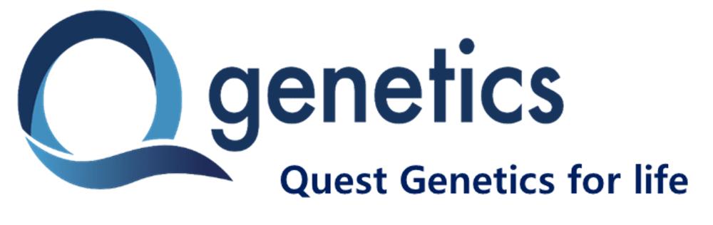 폐경기 비만·골다공증 한 번에 겨냥한 신약... 큐제네틱스 QG30-OB, 여성 ... - 뉴스 썸네일 이미지