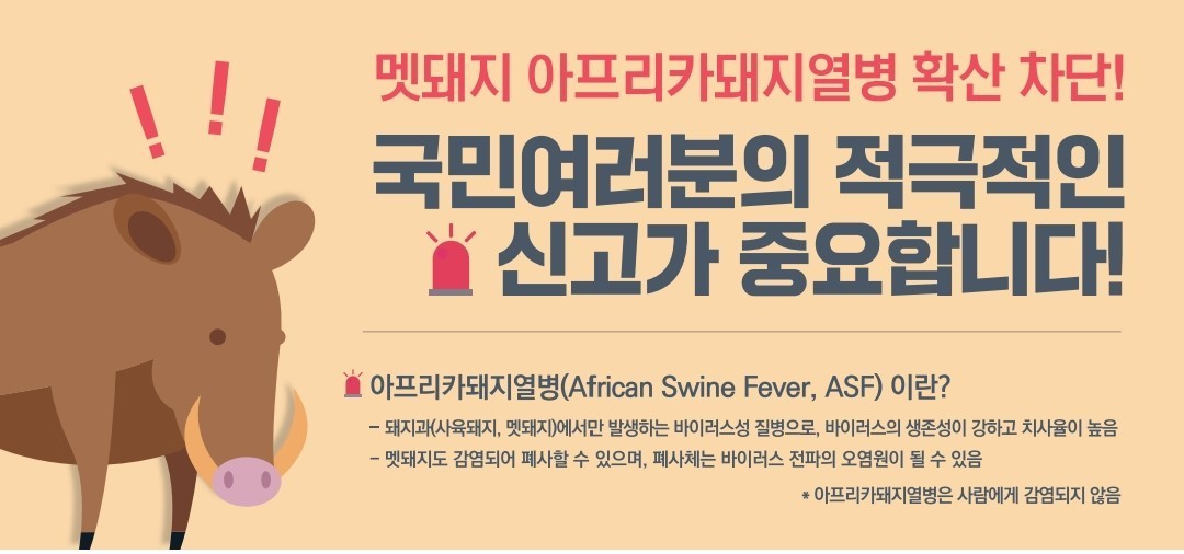 멧돼지 아프리카돼지열병 확산 차단 포스터