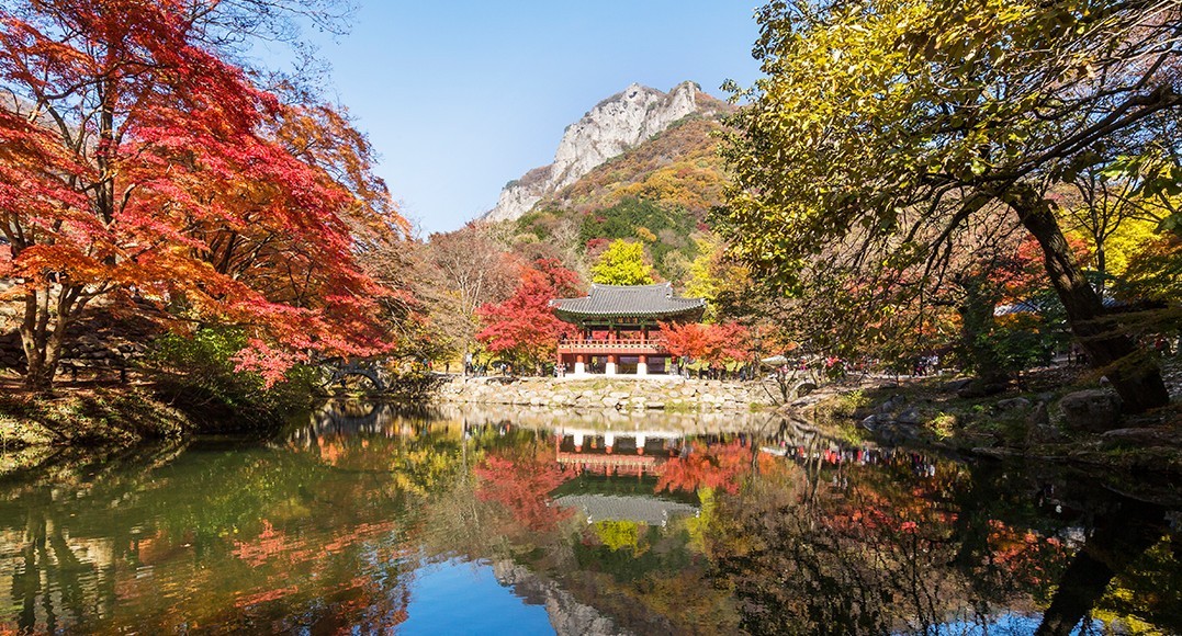 전남 천년사찰 명상관광은 어디?…도, 용흥사·백양사 등 5곳 선정