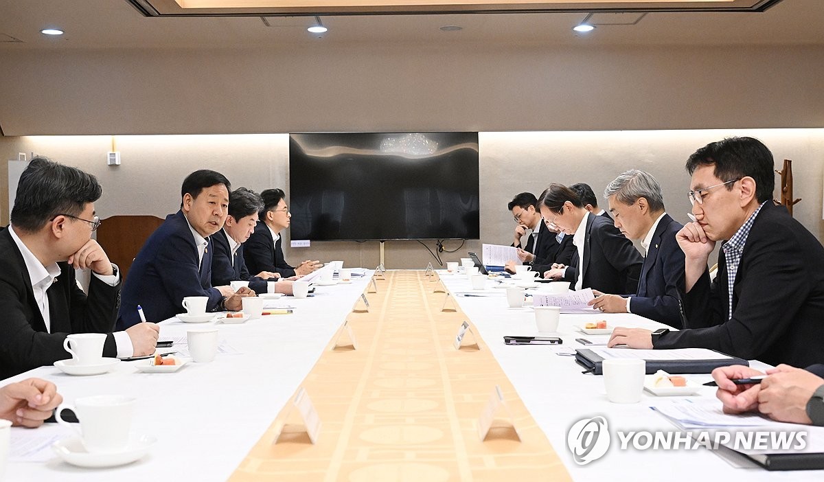 당국 긴급 처방 “단일종목 레버리지 개인 투자한도 설정 및 안정화 조치”