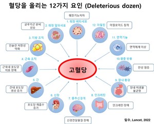 혈당억제제를 선택하는 이유(9개 성분) 3